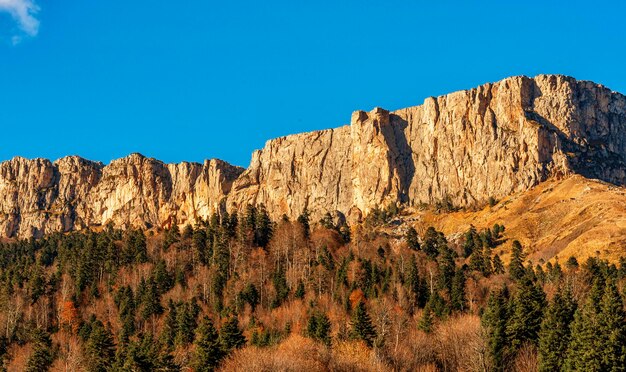 Sheer cliffs with flat tops at the foot covered with magnificent dense autumn forest