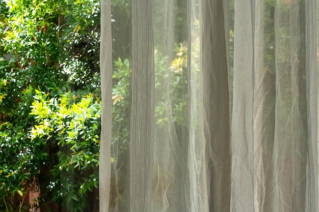 sheer curtains with green trees visible through them