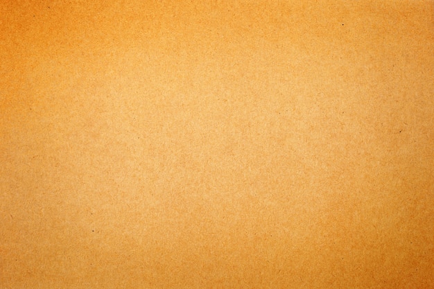 Sheet of brown paper texture