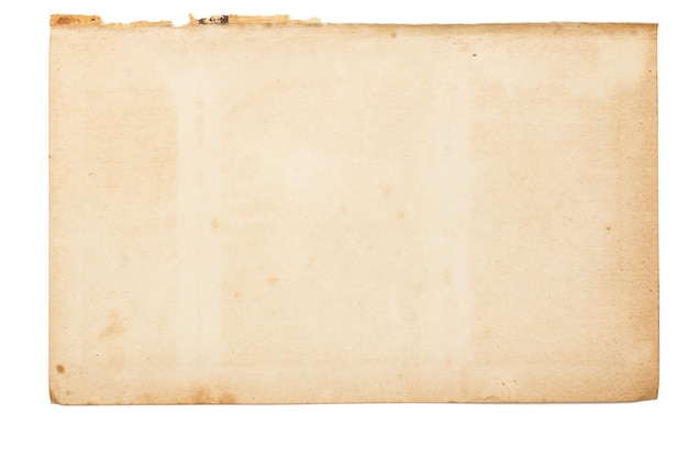 Sheet of old yellowed paper with inclusions blemishes and uneven torn edges