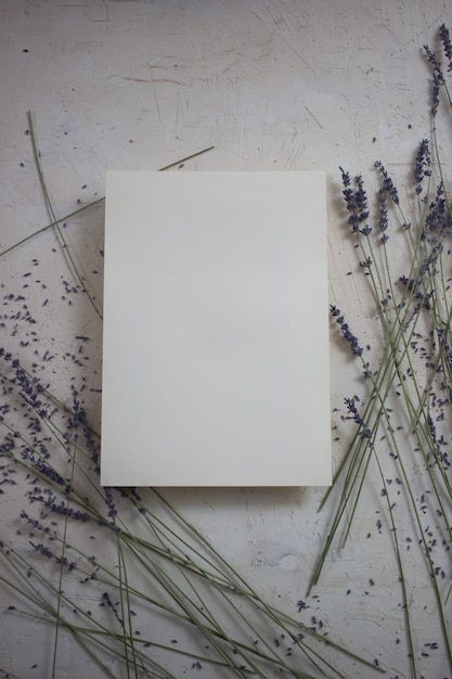 sheet of paper on a background of flowers