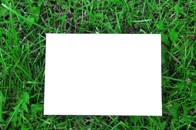 Photo sheet of paper on green grass background