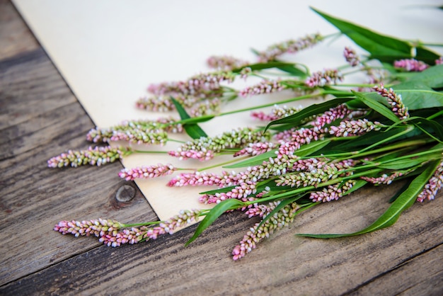 Sheet of paper and the little pink flowers on wooden background