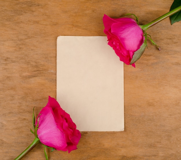 Sheet of paper and roses