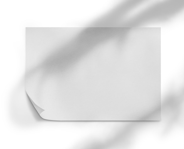 sheet of paper with corner slightly curled