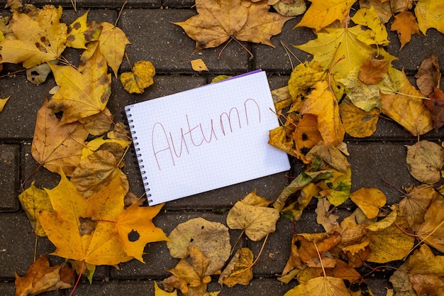 A sheet of paper with the inscription autumn lies in dry autumn leaves