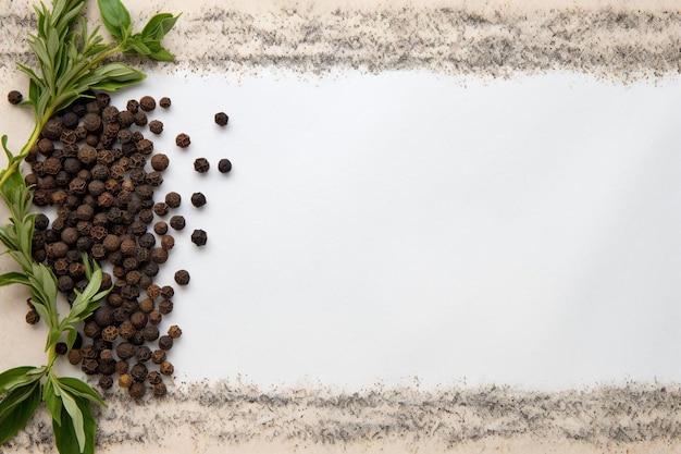a sheet of paper with seeds and a place for the words coffee beans.