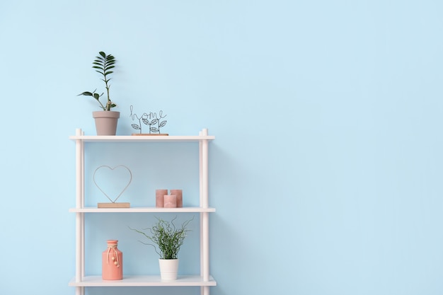 Shelf unit with decor near color wall