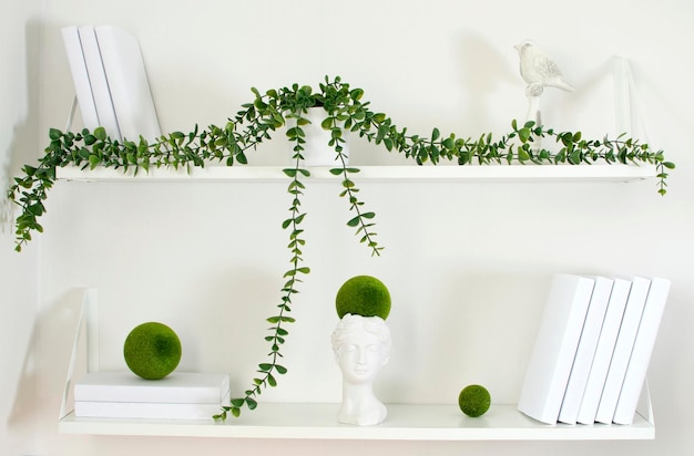 Shelf with books and climbing green plants and bird hanging on an empty neutralwhite background of the wall Home interior in Scandinavian style