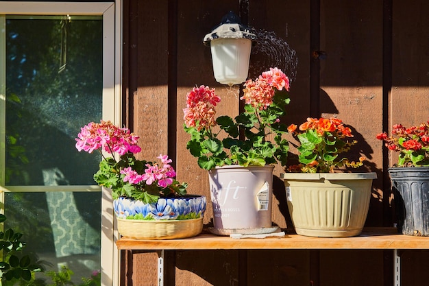 家の外の鉢に花が飾られた棚