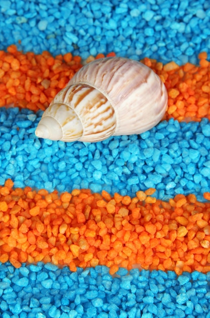 Shell on colorful crystals of sea salt background