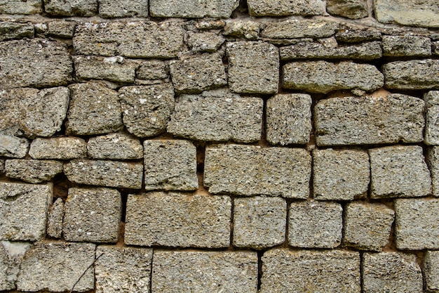 Shell rock wall stone background close up