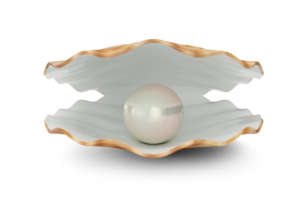 Photo shell with pearl inside. natural open pearl shell. 3d illustration