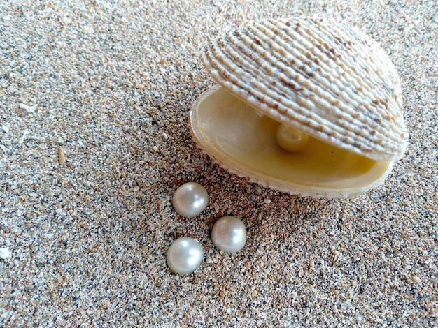 真珠のある貝殻と砂の真珠