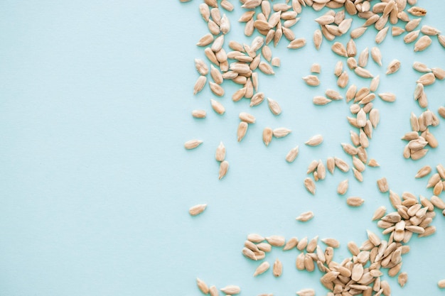 Shelled sunflower seeds over blue background