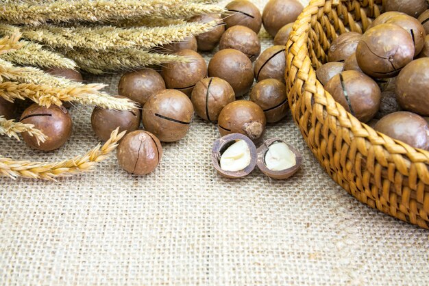 Shelled and unshelled macadamia nuts on wood vintage background