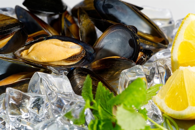 Shellfish dish seafood dishes mussels in sauce