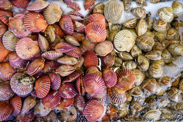 レストランでの酸素泡に浸した貝類の魚介類