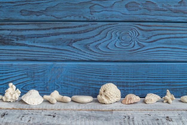 Foto conchiglie su uno sfondo di tavole blu e bianche