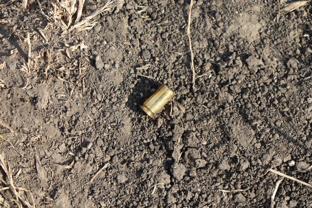 shells on the ground, shot cartridges