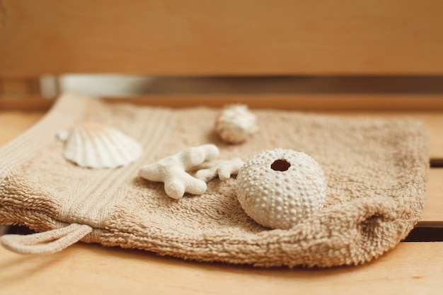 Shells for hot massage in spa salon close-up