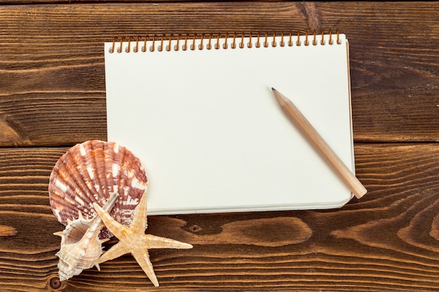 Shells and notepad on wooden table. 