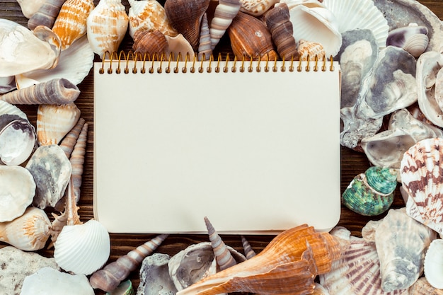 Shells and notepad on wooden table