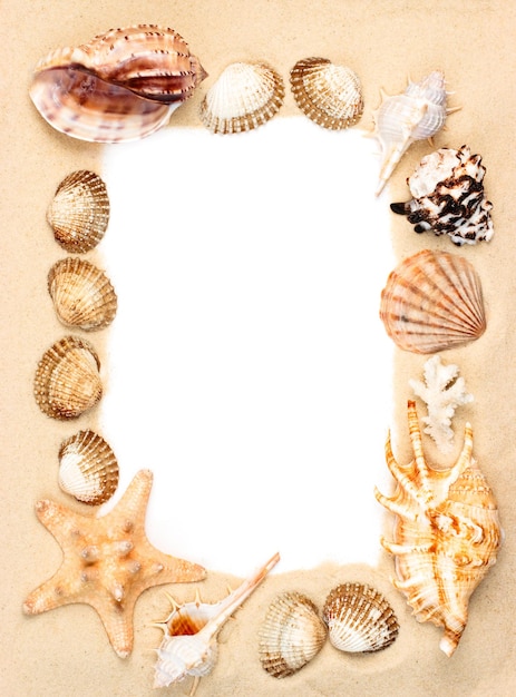 Shells on sand frame