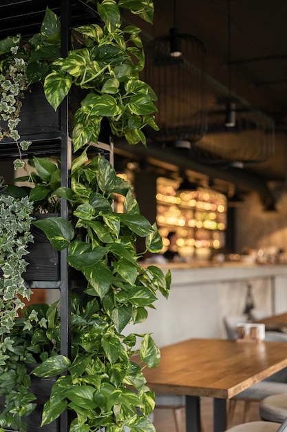 Shelves made of steel plants used for decoration