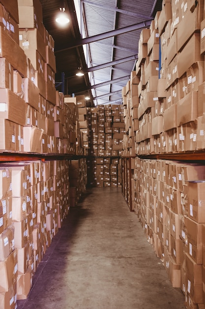 Shelves with boxes in warehouse