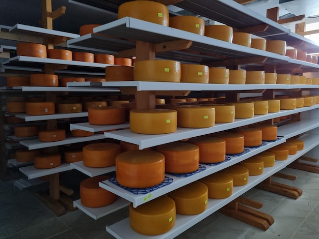 shelves with cheese at a cheese dairy