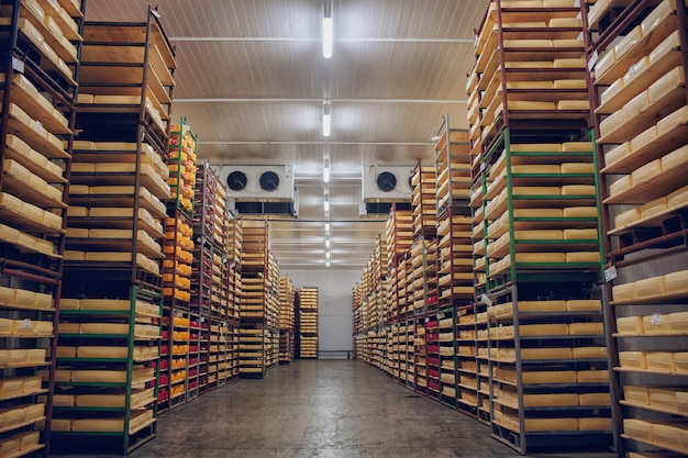 Shelves with cheese factory