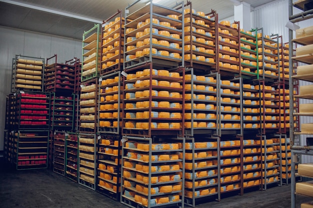 Shelves with cheese factory