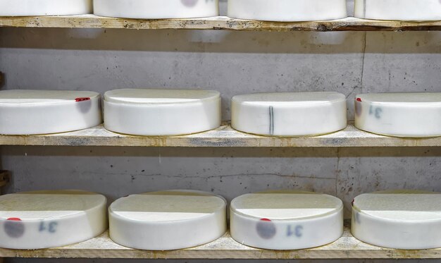 Shelves of young Conte Cheese on wooden shelves at maturing cellar of Franche Comte creamery in France