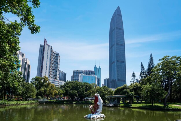 Shenzhen Skyline gezien vanuit het park