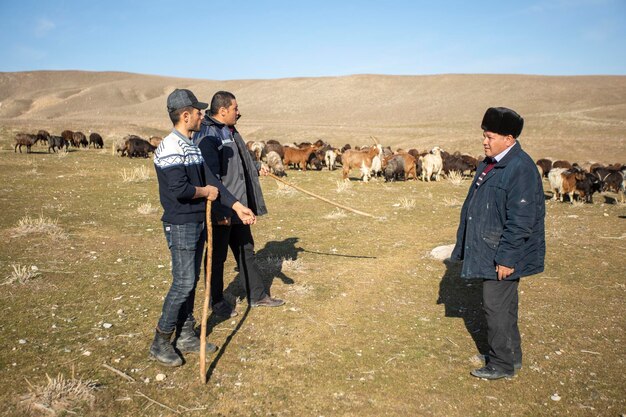 shepherd family managing the goat group