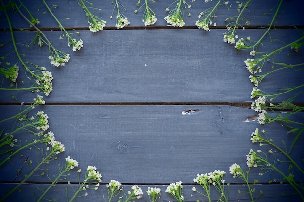 Shepherd39s portemonnee bloemen gerangschikt in een cirkel op een houten achtergrond of oude tafel Kleine gele bloeiwijzen copyspace Vrije ruimte in het midden voor tekst Blauwe toning Donkere vignettering rond randen