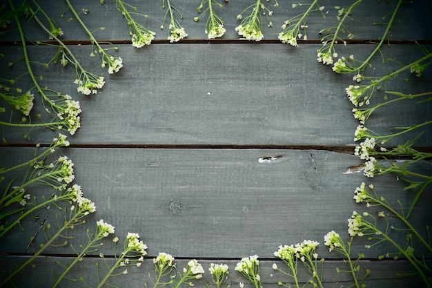 Shepherd39s purse flowers arranged in a circle on a wooden background or old table Small yellow inflorescences copyspace Free space in the center for text Green toning Dark vignetting around