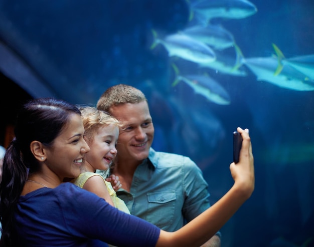 彼女はそれらの魚に焦点を当てた水族館への遠出での少女のクロップドショット