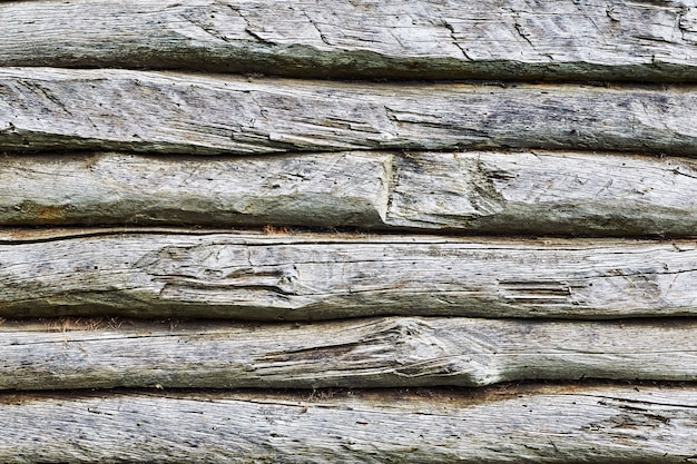 Shield with a large number of parallel wooden logs texture