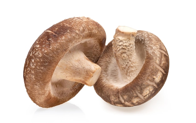 사진 흰색 배경에 고립 된 표고 버섯