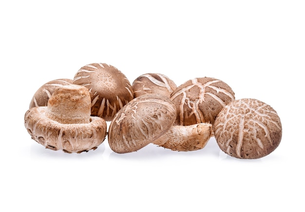 Shiitake Mushrooms on white background