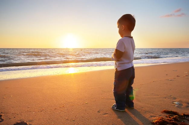 Shild on the beach