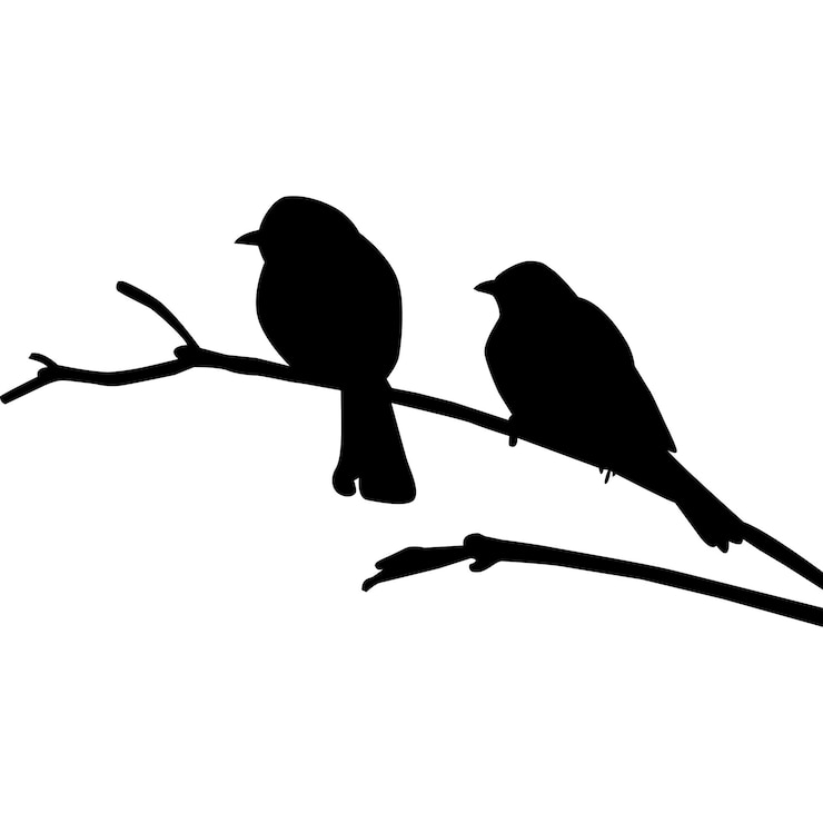 Photo シロウエット鳥とベクトルイラスト