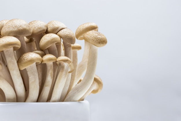 Shimeji mushrooms in ceramic bowls