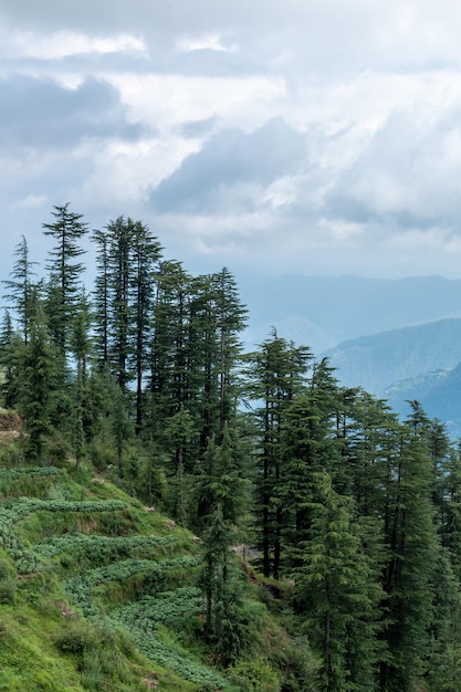 Shimla cityscape aerial view a scenic hill station in the Himalayas at Himachal Pradesh