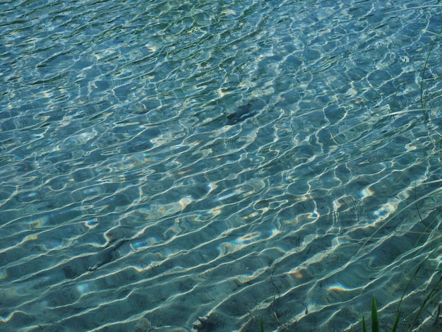 プールのきらめく水の波