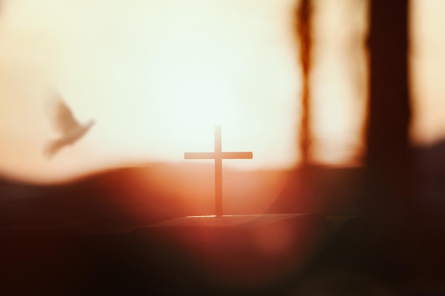 The shining sun of Jesus Christ cross and white dove