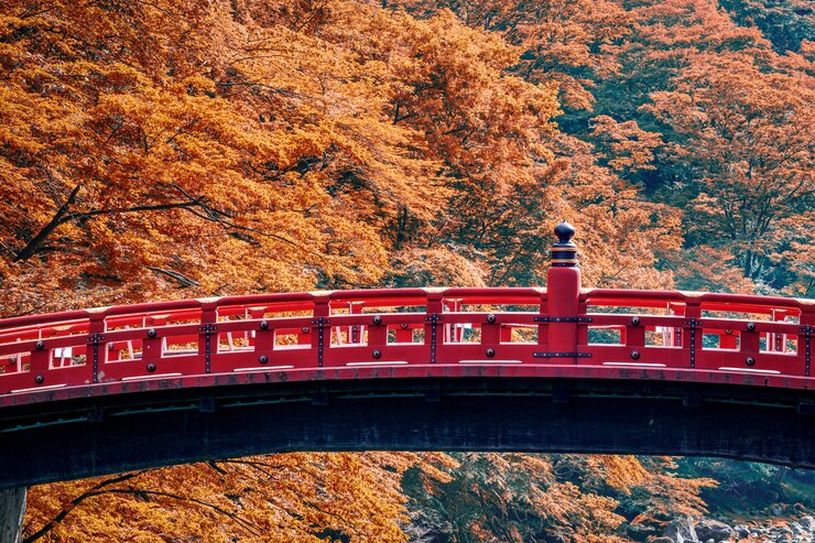 Photo 新京橋