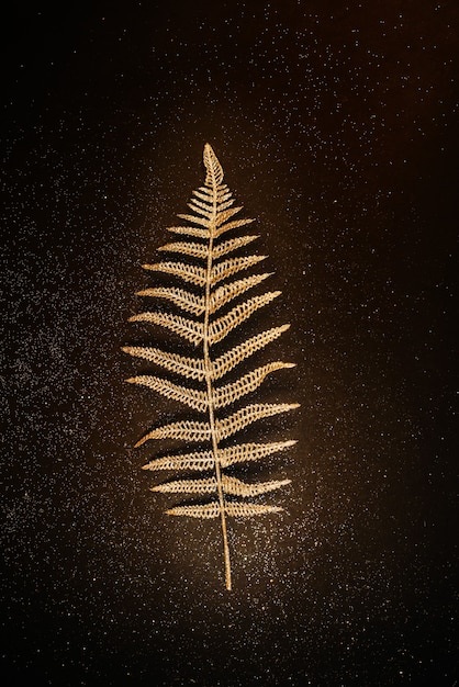 Photo shiny golden fern branch on a black background with glitters christmas decoration minimalism
